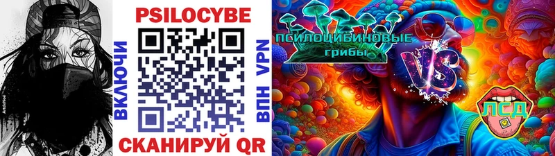 Псилоцибиновые грибы мухоморы  Купить где  Каменногорск 