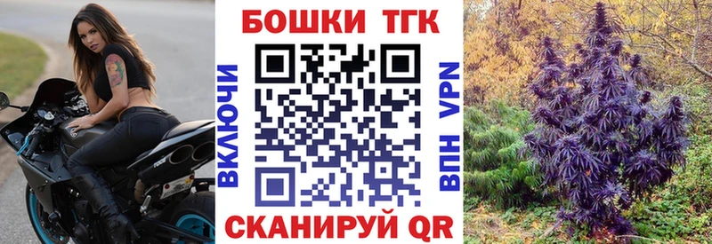 Бошки Шишки семена Купить закладки Каменногорск